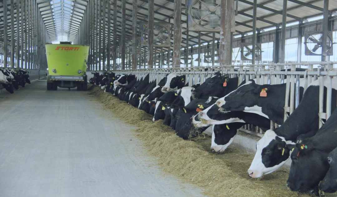 北京大學(xué)南南合作與發(fā)展學(xué)院教授、全球伙伴關(guān)系主任周詠梅一行蒞臨花花牛平輿瑞亞牧業(yè)參觀調(diào)研