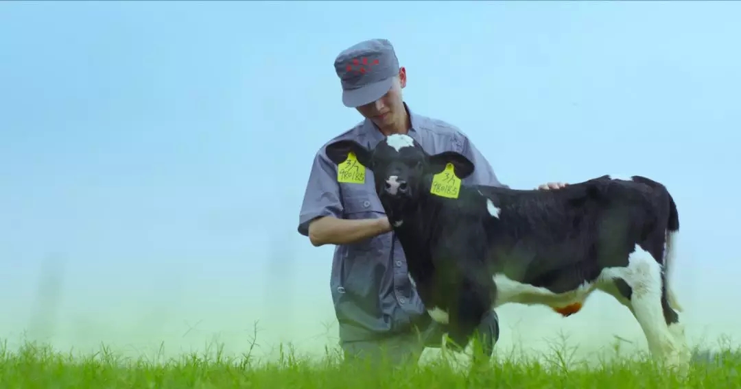 河南省人大常委會黨組書記、副主任孔昌生蒞臨花花牛魯山瑞亞牧場參觀調研