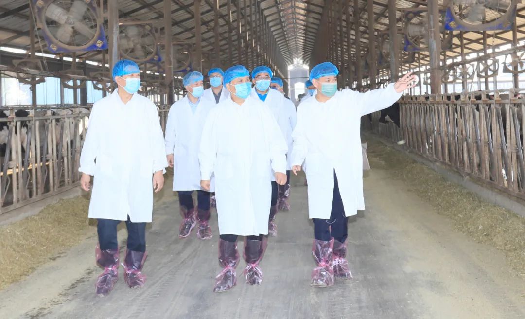快訊丨河南省人民政府副省長武國定蒞臨花花牛乳業(yè)集團(tuán)瑞亞牧業(yè)調(diào)研奶源基地建設(shè)情況