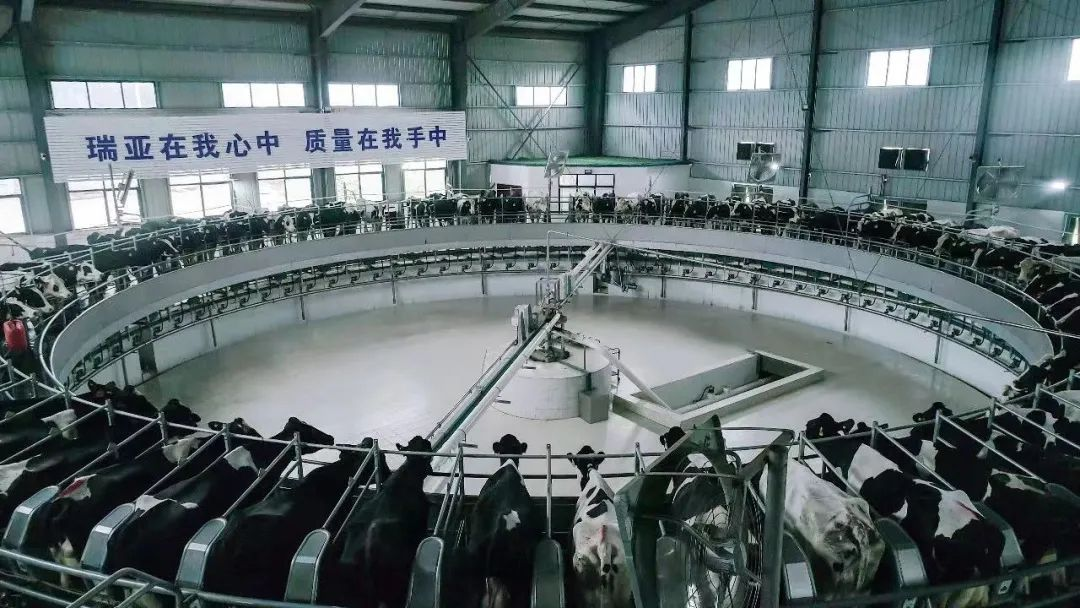 喜訊 | 花花牛一座自有牧場(chǎng)入選河南省“DHI測(cè)定優(yōu)秀牧場(chǎng)”