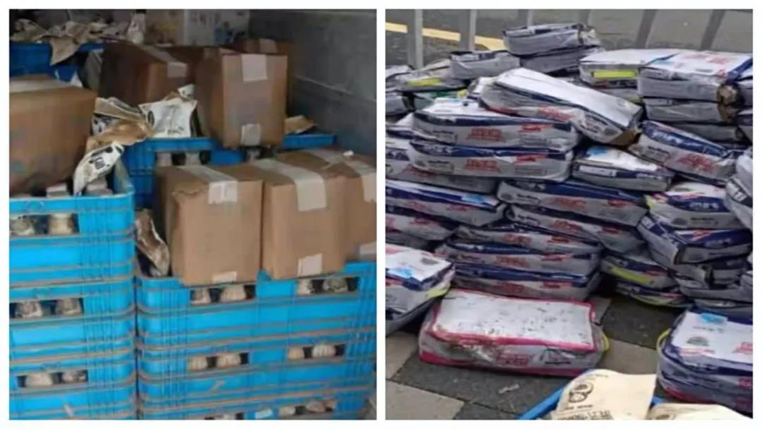 【乳報·聚焦】“豫”難而上的中原牛人“太中了”！