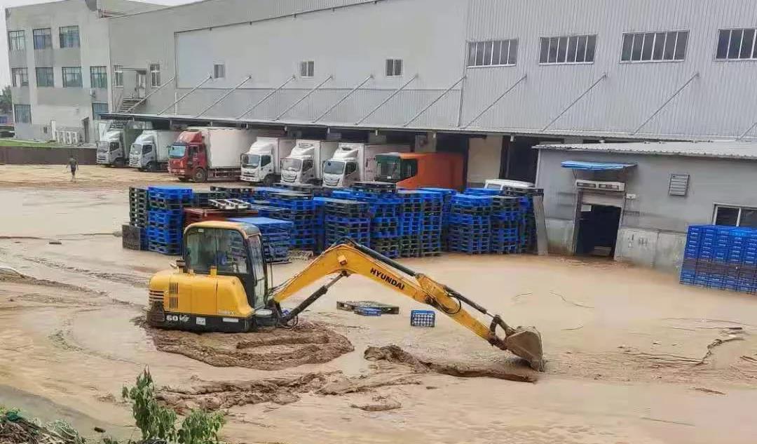 【乳報·聚焦】“豫”難而上的中原牛人“太中了”！