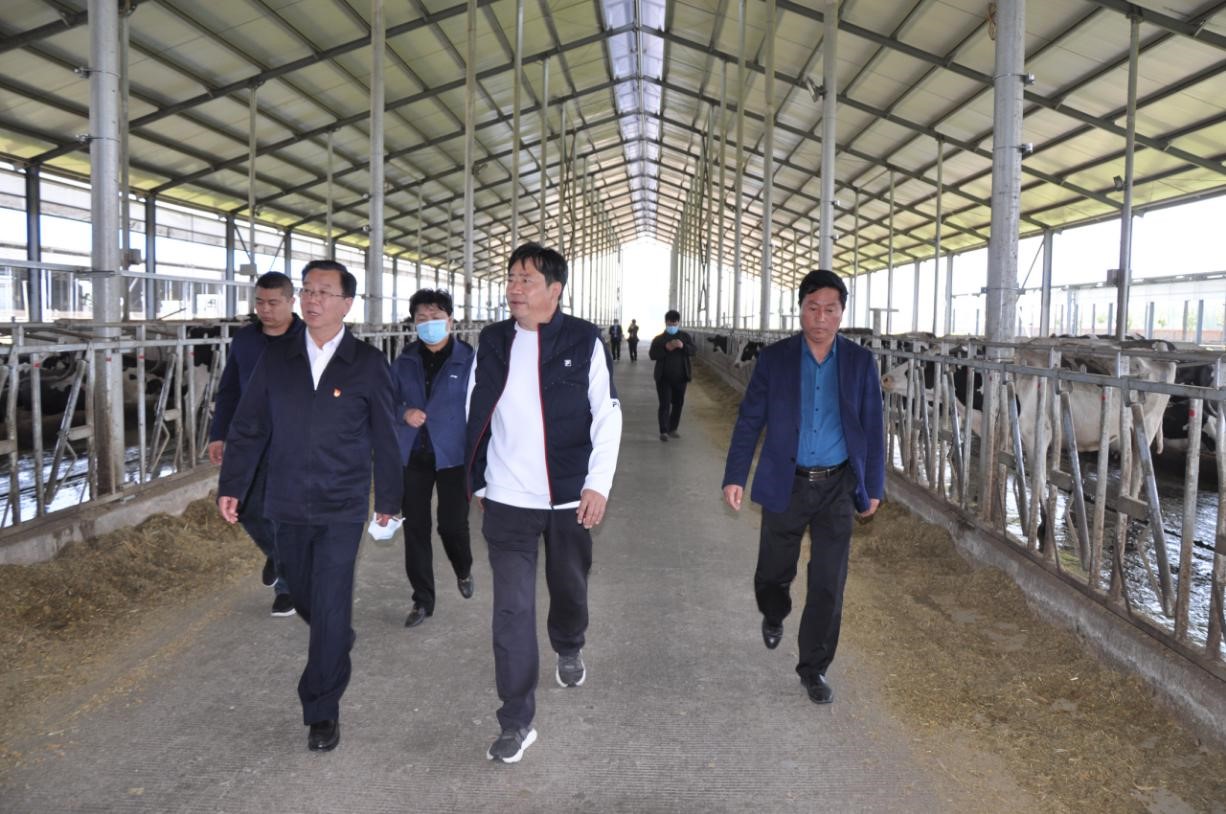 商丘市委常委、宣傳部部長(zhǎng)王全周一行蒞臨睢縣瑞亞牧業(yè)有限公司調(diào)研