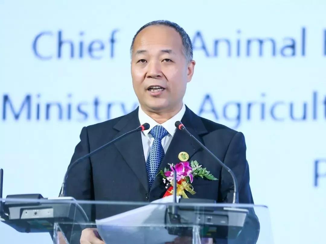 SDDDC走進河南，看看花花牛的國際范兒！