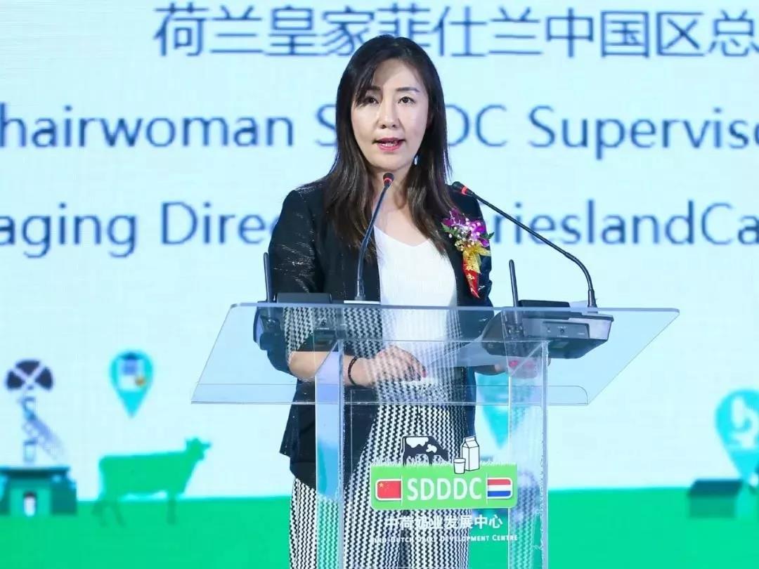 SDDDC走進河南，看看花花牛的國際范兒！