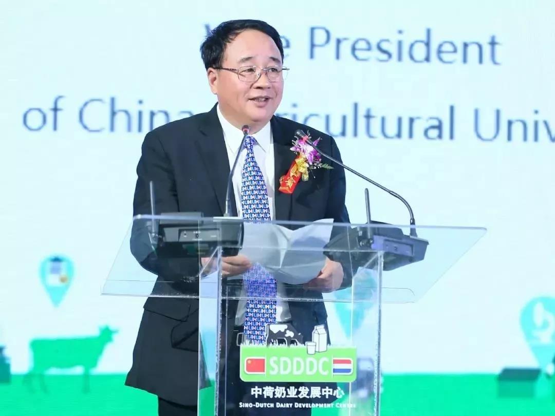 SDDDC走進河南，看看花花牛的國際范兒！