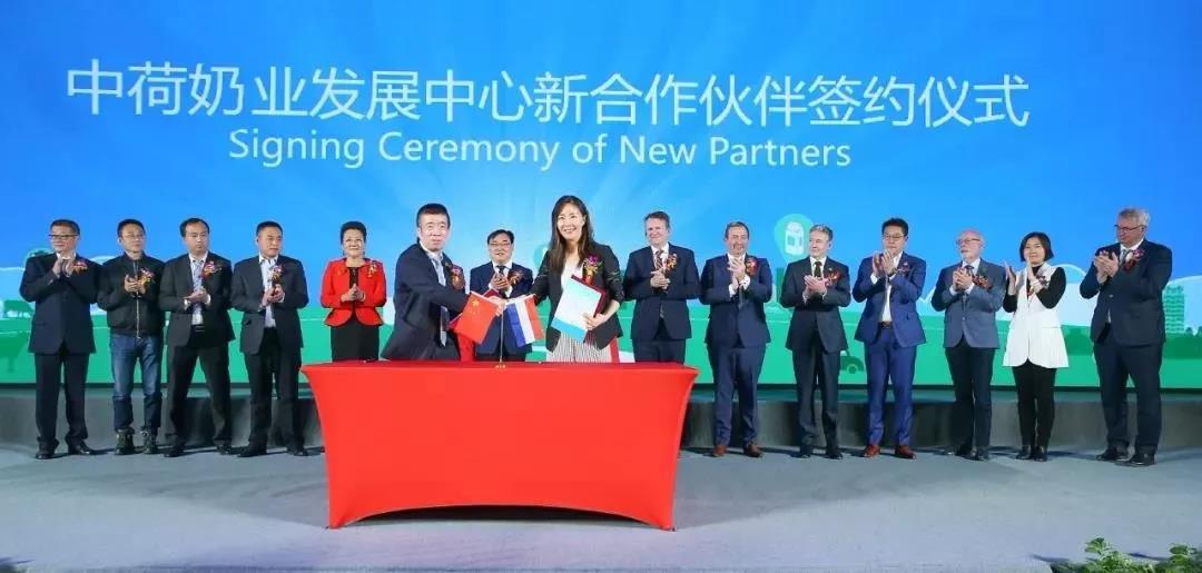 SDDDC走進河南，看看花花牛的國際范兒！