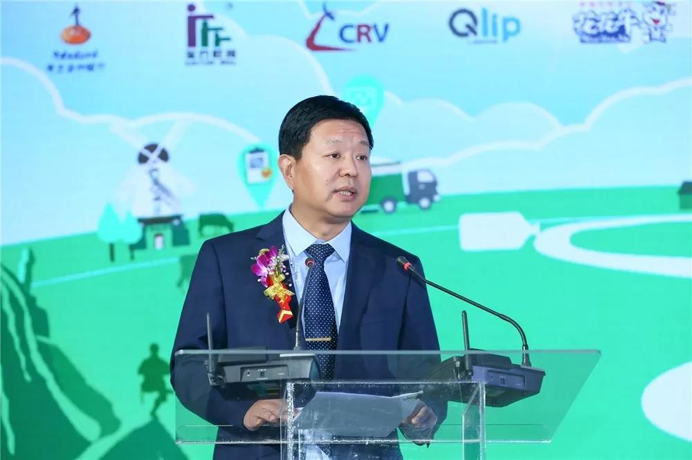 SDDDC走進河南，看看花花牛的國際范兒！