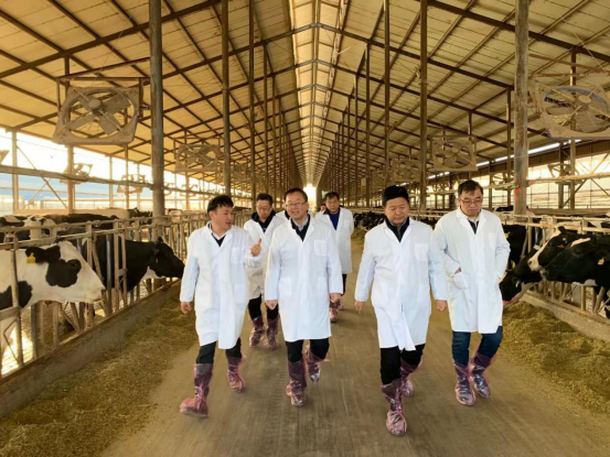 寧夏回族自治區(qū)農(nóng)業(yè)農(nóng)村廳黨組書(shū)記、廳長(zhǎng)王剛一行蒞臨花花牛乳業(yè)集團(tuán)調(diào)研