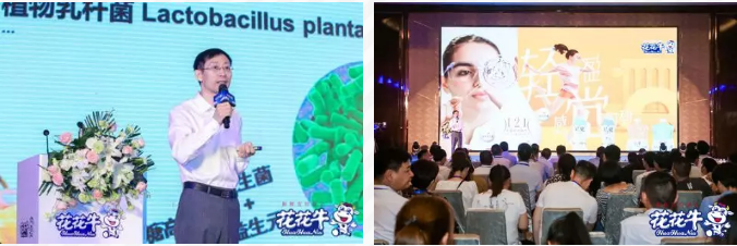 花花牛輕覺上市暨優(yōu)質(zhì)乳工程認(rèn)證發(fā)布會，盛大啟幕！