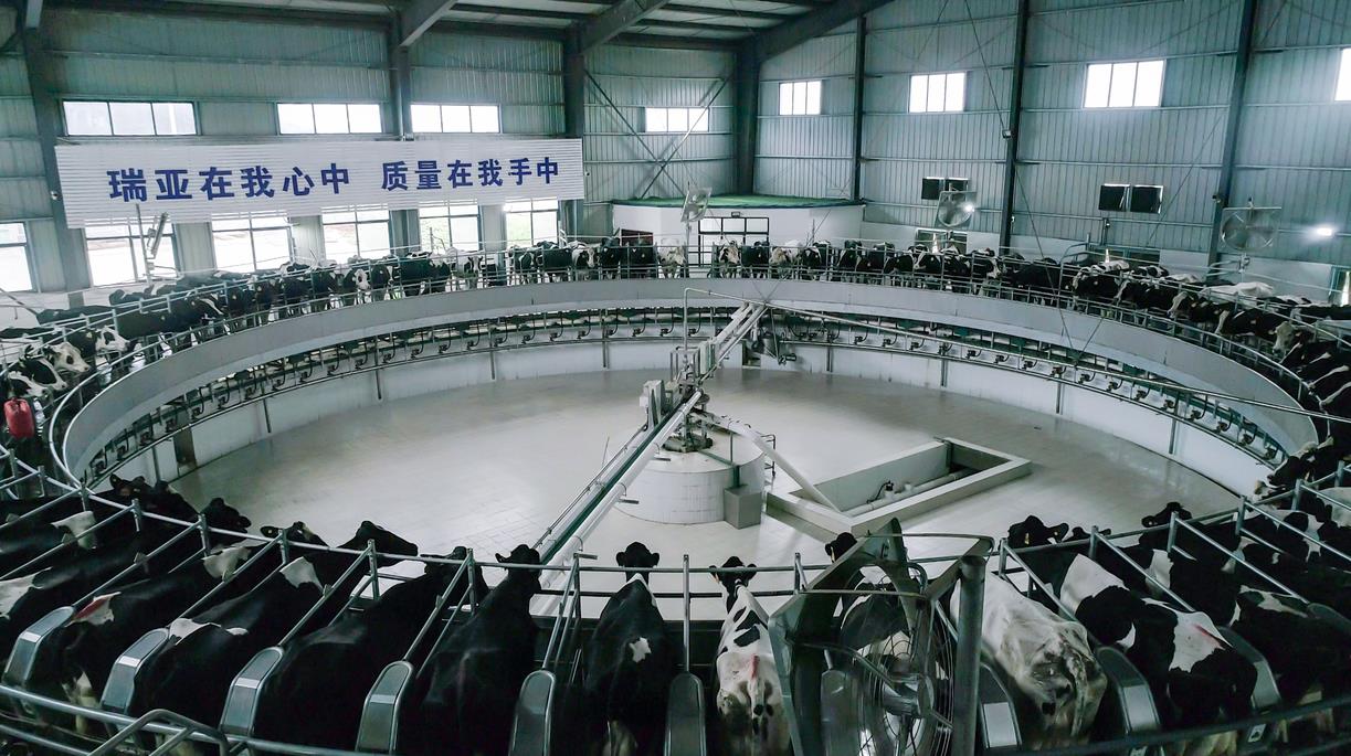 又雙叒叕獲獎啦！花花牛榮獲“乳品質(zhì)量安全管理 優(yōu)秀企業(yè)”