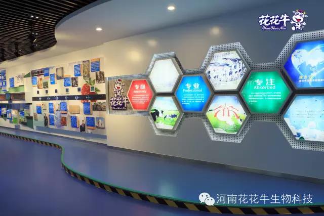 花花牛：務(wù)實(shí)、創(chuàng)新領(lǐng)潮市場(chǎng) 大企業(yè)體現(xiàn)大擔(dān)當(dāng)
